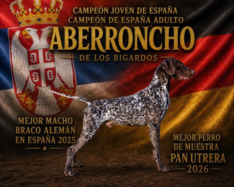 Campeón de España 2025 — Los Bigardos