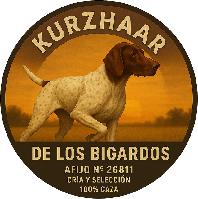 Kurzhaar de Los Bigardos — logotipo